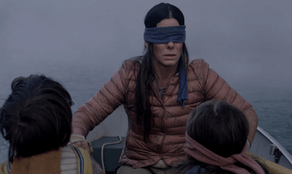 Bird Box 