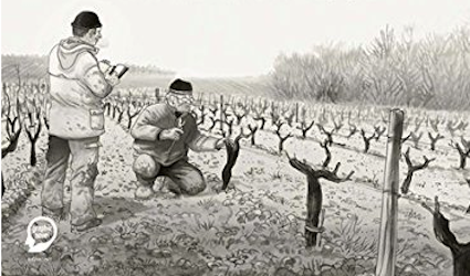 Die Ignoranten: Wenn Wein und Comic sich begegnen 