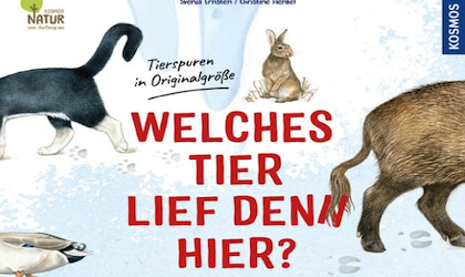Welches Tier lief denn hier?